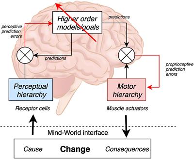 Trust as Extended Control: Human-Machine Interactions as Active Inference